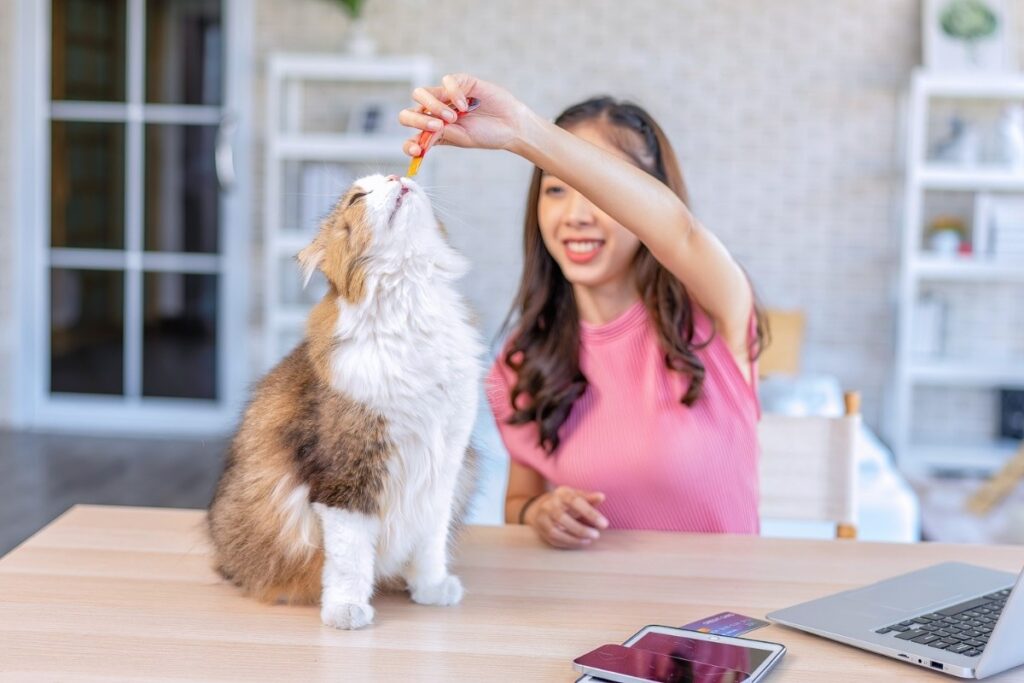 Why Regular Veterinary Check-Ups Are Essential for Your Pet’s Health