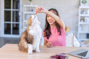 Why Regular Veterinary Check-Ups Are Essential for Your Pet’s Health