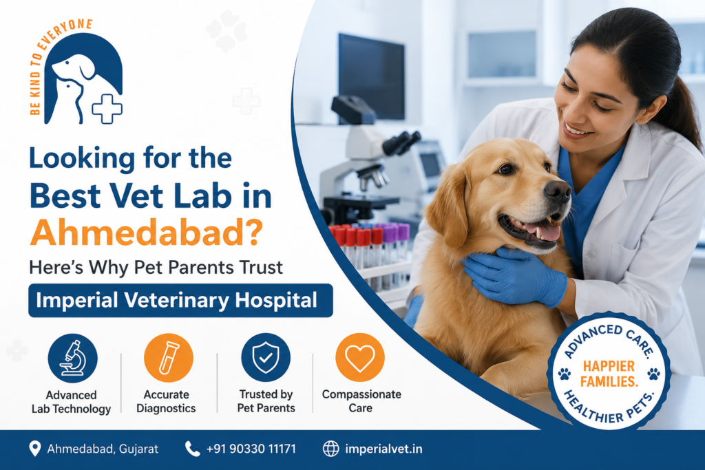 Looking for the Best Vet Lab in Ahmedabad? Here’s Why Pet Parents Trust Imperial Veterinary Hospital