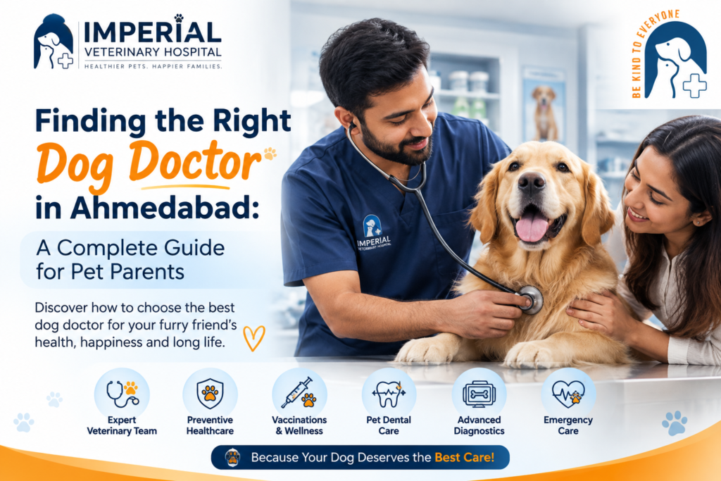 Dog Doctor in Ahmedabad blog image