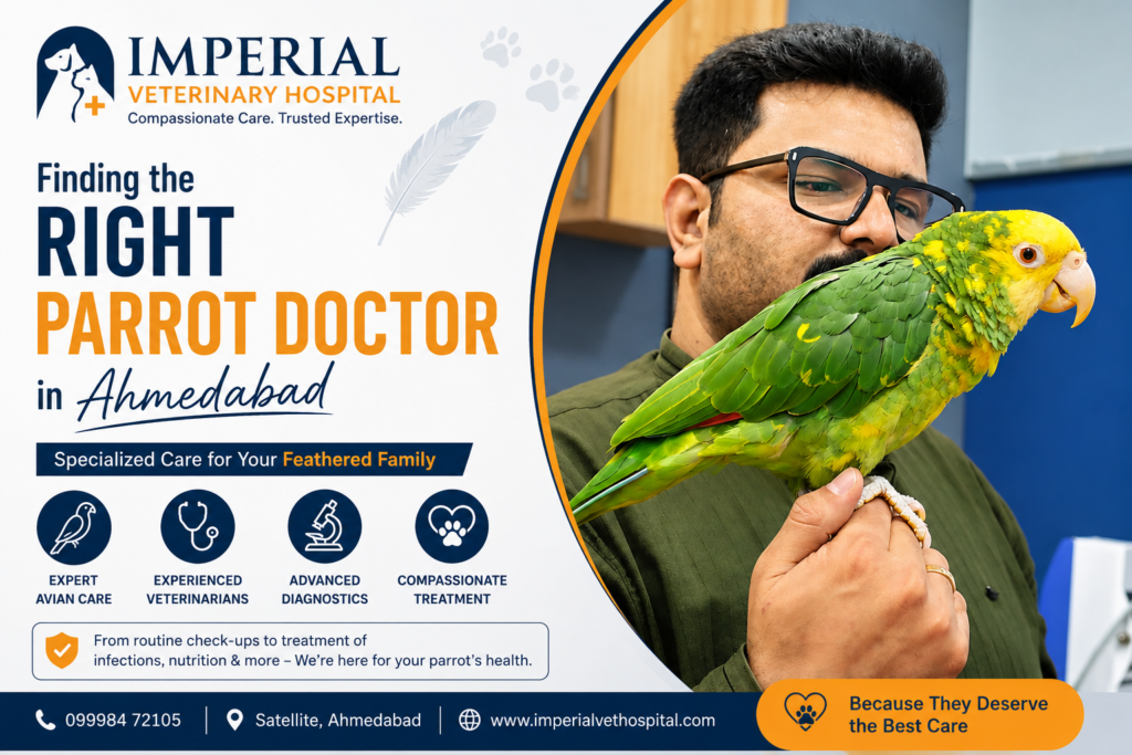 Parrot Doctor in Ahmedabad