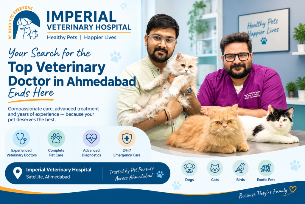 Top Veterinary Doctor in Ahmedabad at Imperial Veterinary Hospital